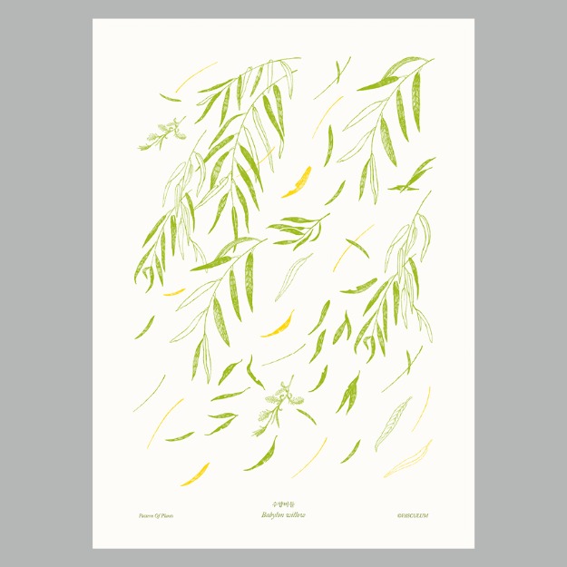 수양버들 Plants Poster (B5)