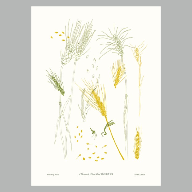 앉은뱅이 밀 Plants Poster (B5)
